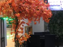 -韩时烤肉(丰科万达广场店)