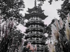 -洋湖国家湿地公园