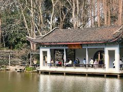 -杭州植物园