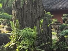 -成都武侯祠博物馆