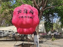 -长白岛森林公园