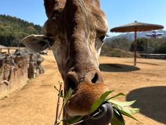 -杭州野生动物世界