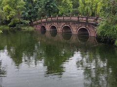 -桂湖森林公园