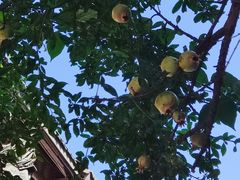-黄龙溪古镇