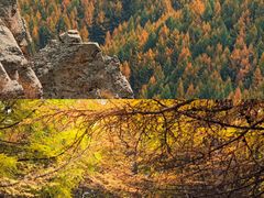 -苏木山森林公园