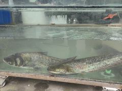 -三峡农家菜(三峡店)