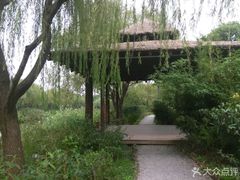 -新江湾城公园