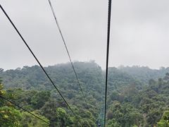 -野象谷景区
