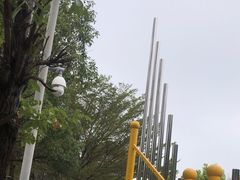 -广东花都湖国家湿地公园