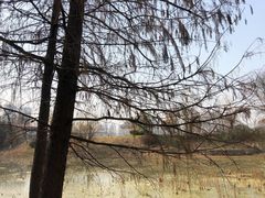 -月湖风景区