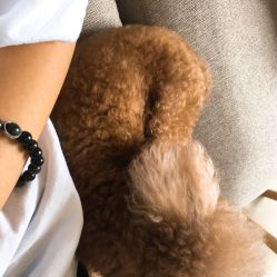 -Hands Nail专业美甲美睫