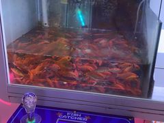 -风云再起游乐汇(南京常发广场店)