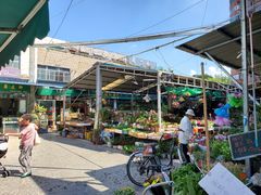 -曲阳花鸟市场(曲阳路店)