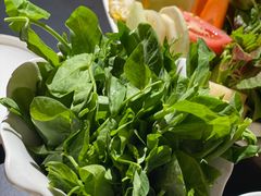 -野菌皇海景野生菌火锅(滨海大道店)