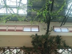 -呀诺达热带雨林