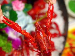 -舞虾小说.涮肉.烧烤(国顺东路店)