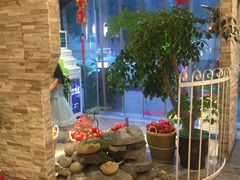 番茄汤锅-蕃茄述·好汤自然来(江汉路店)