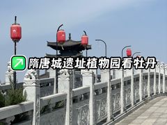 -洛阳市隋唐城遗址植物园