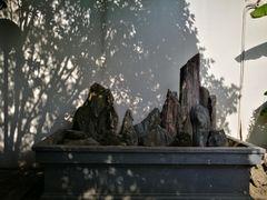 -中国昆曲博物馆