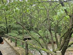 -关门山森林公园