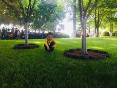 -西湖外事游船(湖滨二公园外事游船码头)