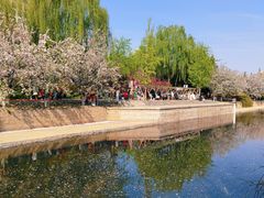 -元大都城垣遗址公园