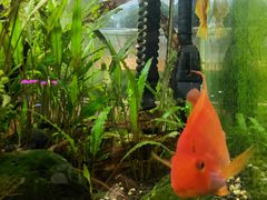 -渔寿司·日本料理(艾尚天地店)