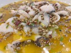 能喝汤的椒麻鱼-再回头私房菜·老南京菜