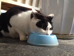 iphone_upload_pic-Anne猫窝咖啡屋