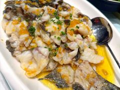 -丰宝源客家菜(常平店)