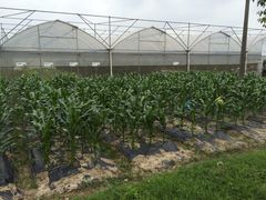 -上海多利农业发展有限公司