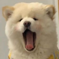 -辛德瑞拉摄影工作室(大润发店)