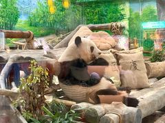 -灵玲国际马戏城