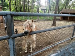 -长白岛森林公园