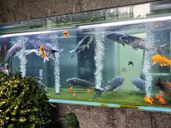 -又见炊烟私房菜(敬亭路店)