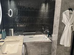 -新加坡乌节希尔顿酒店 (SG Clean)