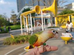 -东莞松山湖万象汇