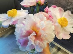 -盒马X会员店(上海森兰商都店)