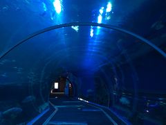 -成都浩海立方海洋公园