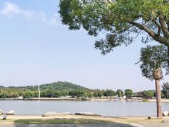 -上海月湖雕塑公园