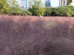 -艾溪湖湿地公园