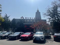 -听松楼·花园酒店·自助餐厅(红梅公园店)