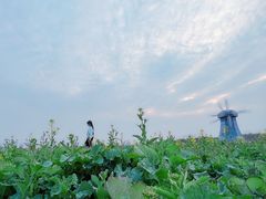 -武汉紫薇都市田园