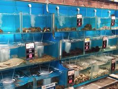 水产区-苏大嘴海鲜牧场(奥林匹克店)