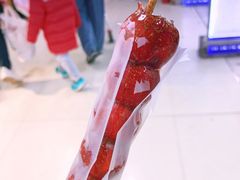 纯冰糖制作糖葫芦-和禄德冰糖葫芦