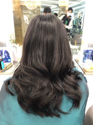 -潘多拉Hairsalon