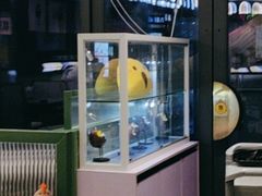 -椰小鸡·琼州糟粕醋·火锅(美兰缤纷城店)