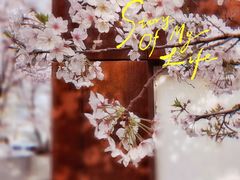 -龙美术馆(西岸馆)