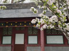 -恭王府博物馆