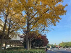 -瑞慈体检上海普陀机构